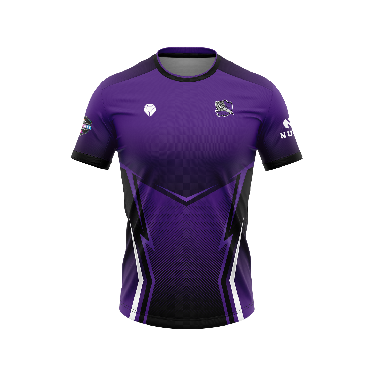 Portsmouth Paladins Official Esports Jersey