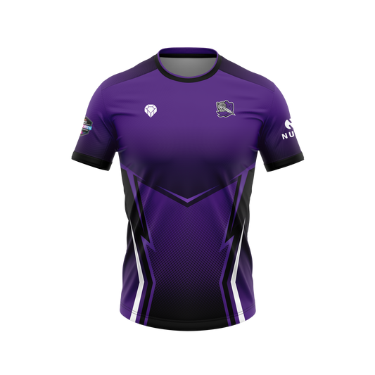 Portsmouth Paladins Official Esports Jersey