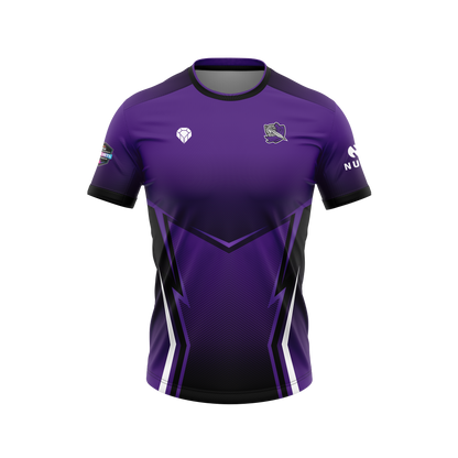 Portsmouth Paladins Official Esports Jersey