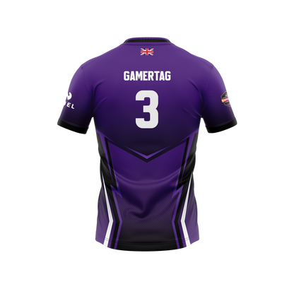 Portsmouth Paladins Official Esports Jersey